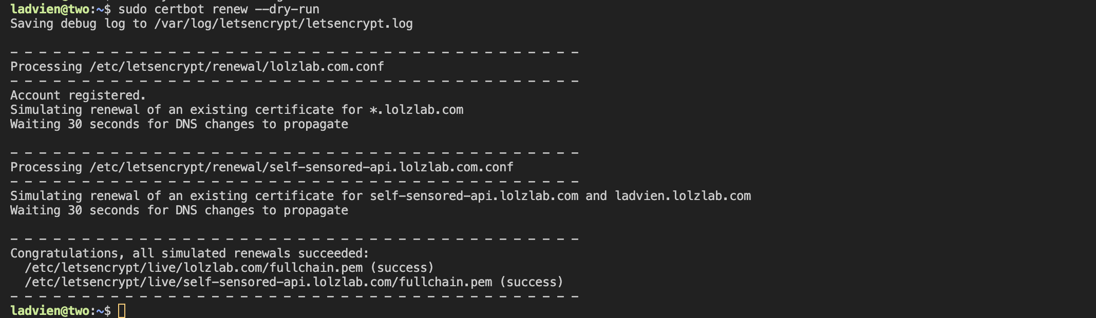 certbot-auto-renew-setting-dry-run