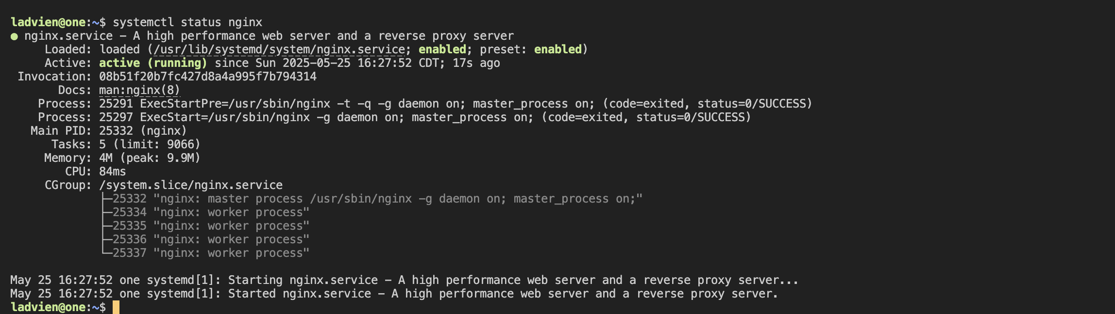 nginx-running-status